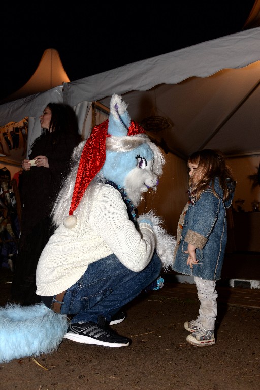 ../Images/Castlefest Wintereditie 2015 zaterdag 140.jpg